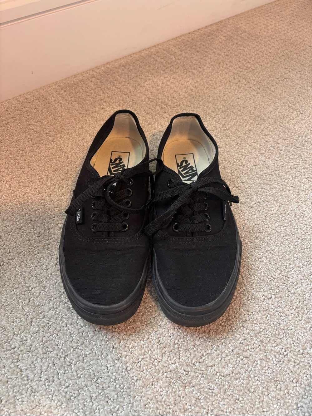 Vans Black Canvas Lace-Up Sneakers